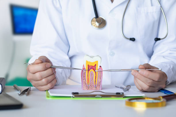 Best Emergency Treatment for Oral Infections in Margate City, NJ